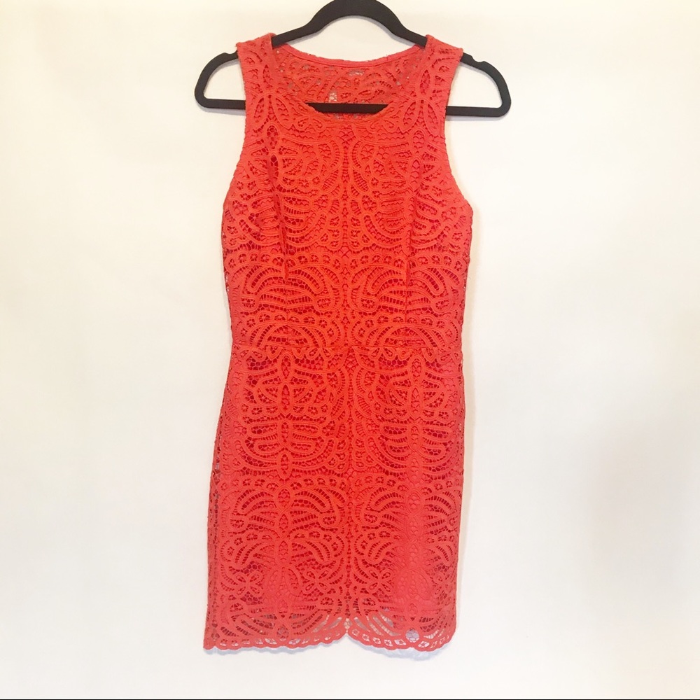 Amanda UpRichard | Poppy Lace Crochet Knit Dress - Picture 4 of 7